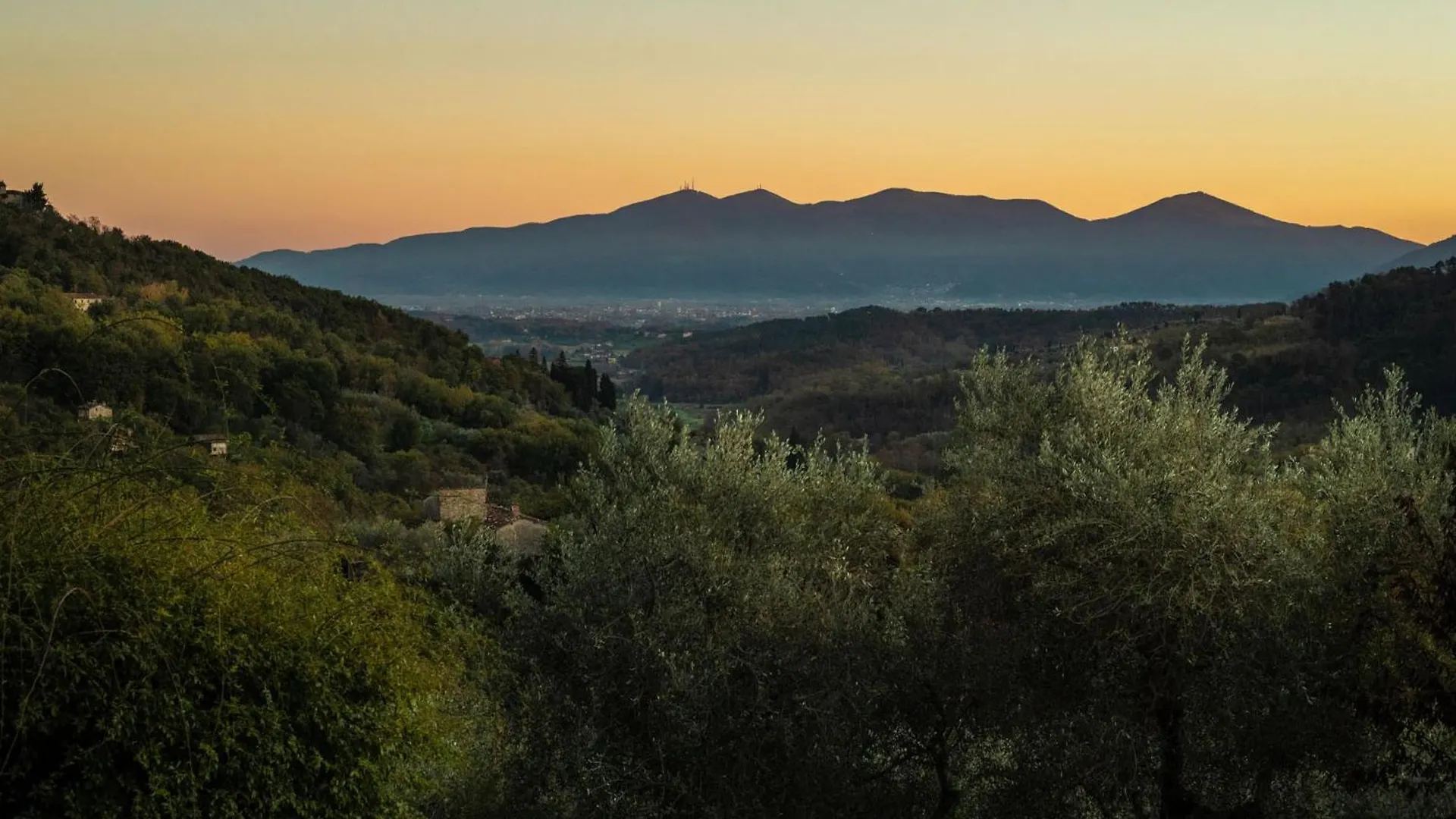 Villa Gufo Lucca 0*,  Italy